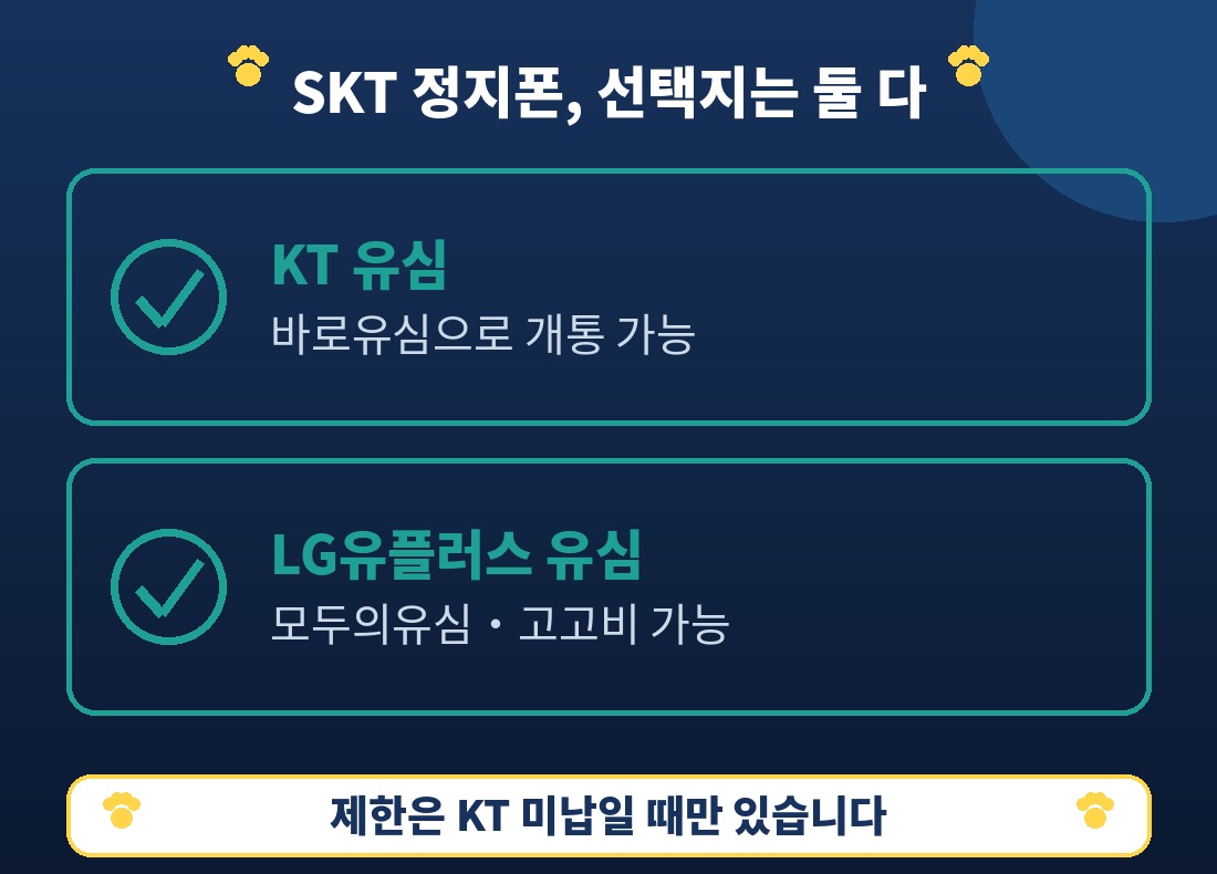 SKT 정지폰에서 사용 가능한 유심 — KT·LG유플러스 모두 가능